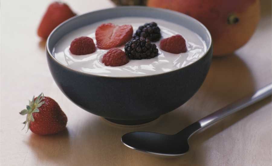 2016 07 dupont nutrition and health dairy foods yogurt white paper.jpg?alt=2016 07 dupont nutrition and health dairy foods yogurt white paper
