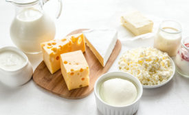 dairy products