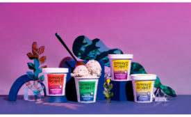 Brave Robot animal free ice cream.jpg