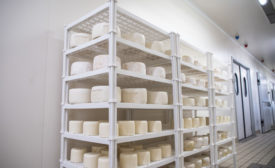 cheese maturation.jpg