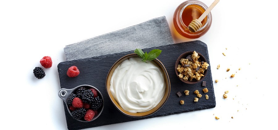 fermented dairy products