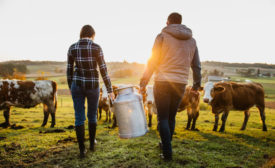 Dairy Farm