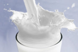 Milk