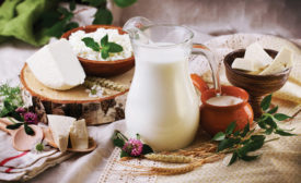 New cultures extend shelf life naturally  and ferment faster