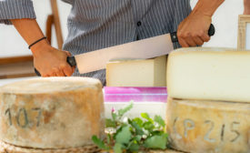 slicing cheese