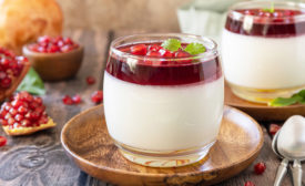 Spoonable Dairy Yogurt