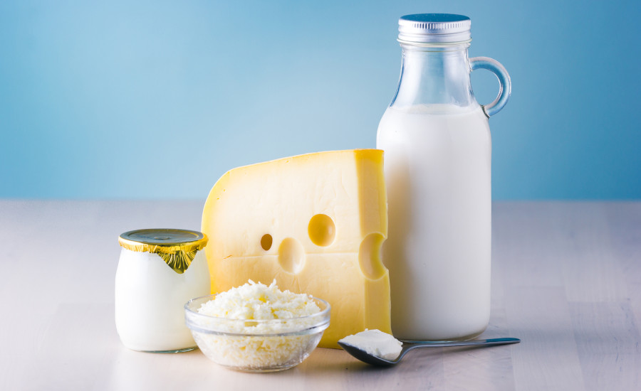 Dairy Industry