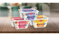 Hood Cottage Cheese Medleys.jpg