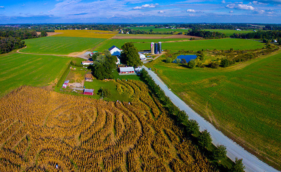 Kilby ice cream farms.jpg?alt=kilby ice cream farms