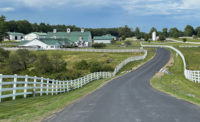 Pineland Farms Dairy