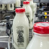 Straus Creamery