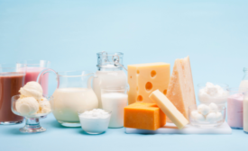 dairy products