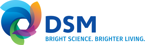 DSM-logo